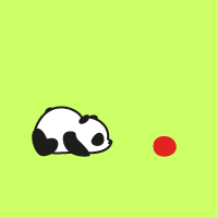 panda